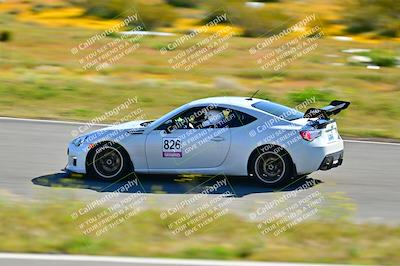media/Apr-06-2024-Extreme Speed (Sat) [[3431b70655]]/Green-mid int/Session 1-The Bowl/